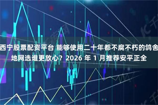 西宁股票配资平台 能够使用二十年都不腐不朽的鸽舍地网选谁更放心？2026 年 1 月推荐安平正全