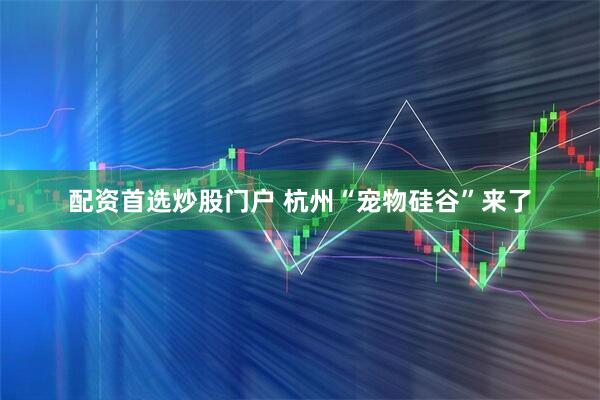 配资首选炒股门户 杭州“宠物硅谷”来了