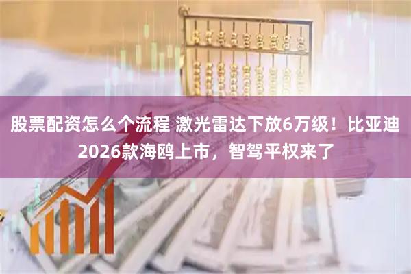 股票配资怎么个流程 激光雷达下放6万级！比亚迪2026款海鸥上市，智驾平权来了